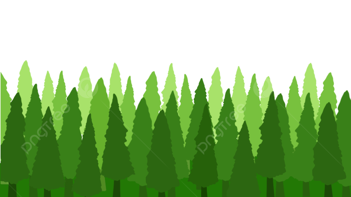 Green Pine Trees Forest, Pine Tree, Forest, Tropical Png Transparent ... throughout  Pine
