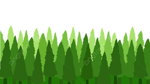 Green Pine Trees Forest, Pine Tree, Forest, Tropical Png Transparent ... throughout Pine