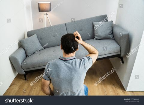 59 Sofa Not Fit Images, Stock Photos &Amp; Vectors | Shutterstock for The Art of Choosing: 12 Sofa Colors to Elevate Your Home's Aesthetic