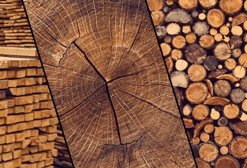 Janka Hardness Rating: Understanding Wood Durability – Materialsark in Understanding Wood Durability What to Look for in Your Next Dresser