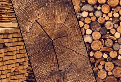 Janka Hardness Rating: Understanding Wood Durability – Materialsark in Understanding Wood Durability What to Look for in Your Next Dresser