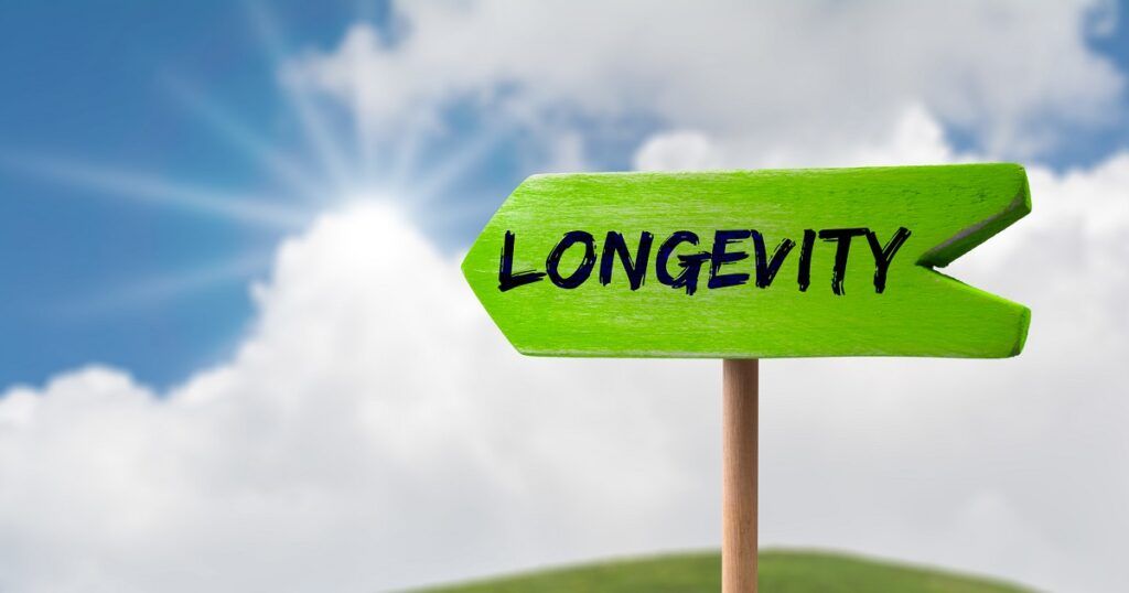 Longevity: Unlocking The Secrets To A Longer, Healthier Life - Vizz Blog with Maximizing Your Investment Longevity and Care Tips for Your