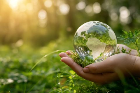 Sustainable Living Mastery: Transforming Your Lifestyle For A Greener ... intended for Unveiling the Secrets of Sustainable Living A Comprehensive Guide