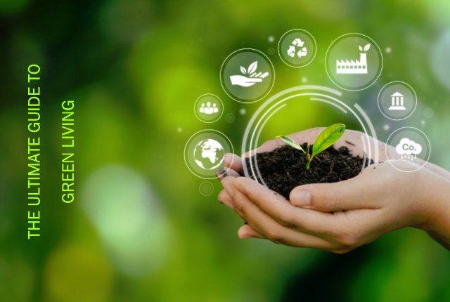 Unveiling the Secrets of Sustainable Living A Comprehensive Guide