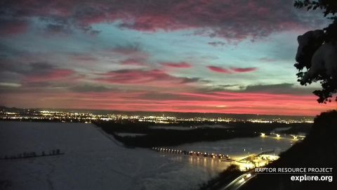 2022 Great Spirit Bluff Falcons pertaining to Understanding the Craftsmanship Behind Saddle Brown Falcon Bluff Chests
