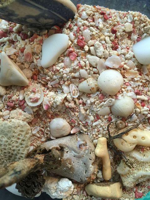 Bermuda Sand | Bermuda Sands, Most Beautiful Places, Bermuda for Exploring the Material Science Behind the Bermuda Sands Chest's Durability