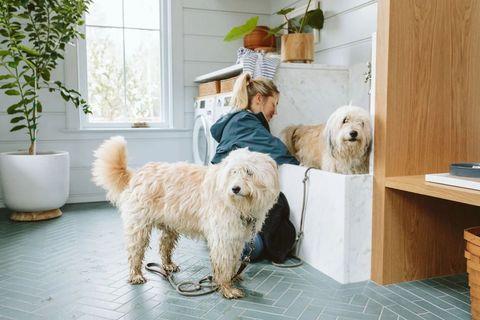 Creating A Stylish And Practical Laundry Room With Pet Grooming Station ... inside Designing a Dual-Purpose Laundry Room Pet Care Meets Practicality