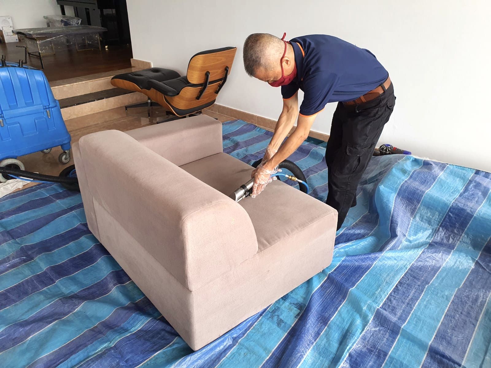 Why Your Sofa Might Be A Hotspot For Germs And Bacteria with