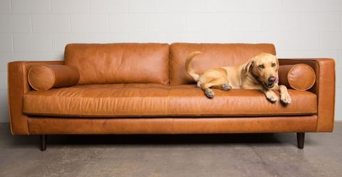 20++ Brown Leather Mid Century Sofa - Pimphomee within The Enduring Appeal of Brown Leather Mid-Century Lounge Sofas