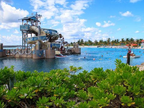 Lookout Cay Vs Castaway Cay: How Disney's Islands Compare - Wdw Magazine throughout Connecting with Nature on Pelican Cay Entertainment Deck