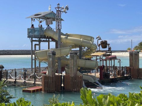 Pelican Plunge Castaway Cay - Everything You Need To Know ... inside