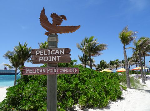 Pelican Point At Disney’s Castaway Cay – The Disney Sophisticate within Connecting with Nature on Pelican Cay Entertainment Deck