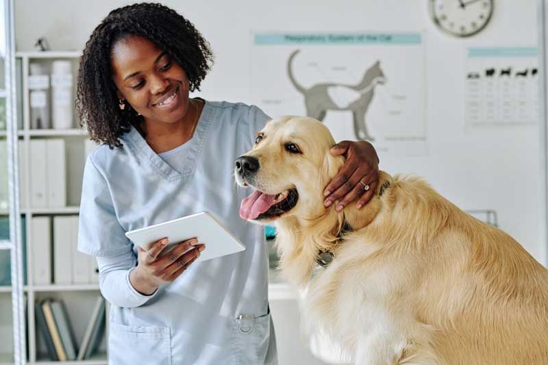 2023 Veterinary Trends Every Practitioner Needs To Know regarding Conley Chest What Every Practitioner Needs to Know
