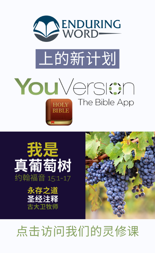 Enduring Word (Chinese Version) Bible Commentary Exodus 《出埃及记》第11章 with regard to The Enduring Appeal of Mango Wood for Your Media Console Needs
