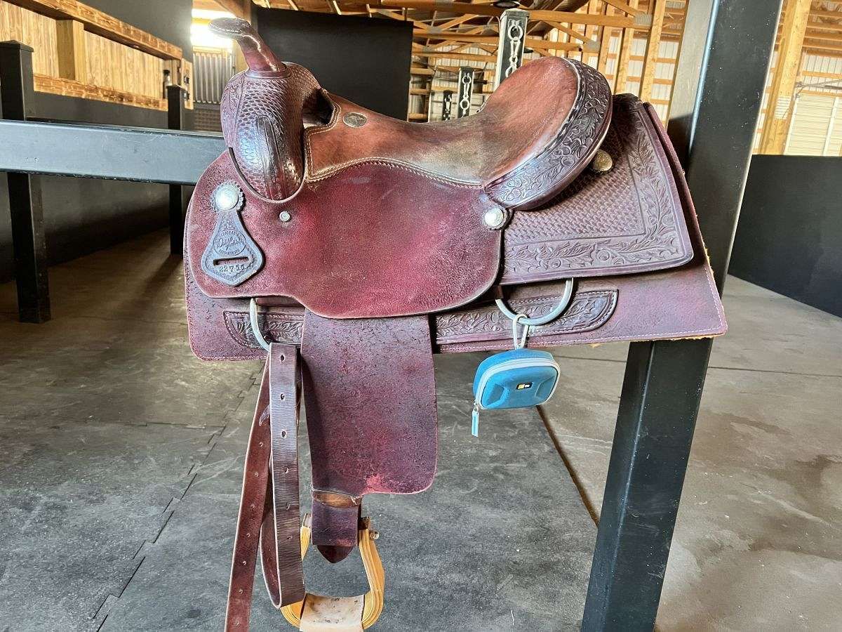 Reining Saddle throughout Expert Insights on Caring for Your Saddle Brown Falcon Bluff Chest
