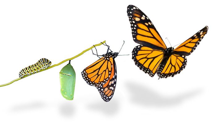 Transformation, Not Just Information: One Challenge For Preaching On ... within