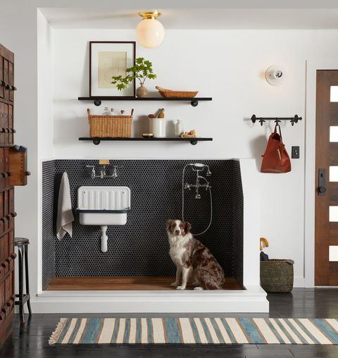 120 Dog Wash, Bed, Kennel And Laundry Room Ideas | Dog Rooms, Dog Wash ... regarding Expert Tips for Maximizing Laundry Room Efficiency