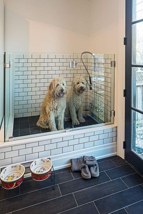 30 Stylish Yet Functional Laundry Rooms (Photo Gallery) | Dog Washing ... for Stylish Laundry Room With A Dog Wash Station And A Drying Closet
