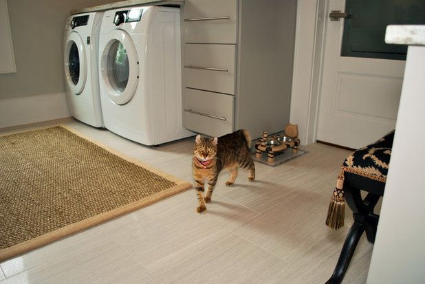 Your Cat’s Guide to a Cozy Laundry Space