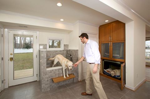 A Laundry Room With Bunk Beds And A Shower For Muddy Dogs with Creating the Perfect Laundry Sanctuary for Dog Lovers