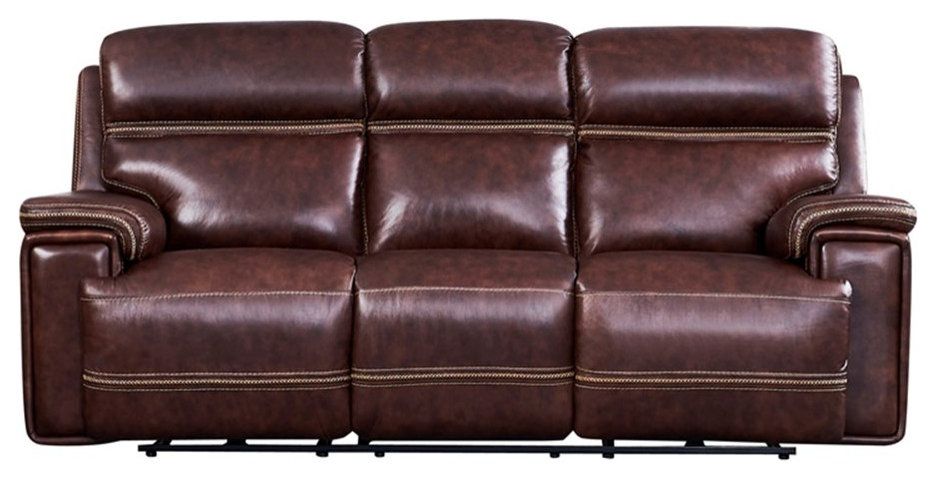 Bowery Hill Modern Geuine Leather &amp; Hardwood Sofa In Brown Finish - Contemporary - Sofas - By ... in Bowery Hill Modern Geuine Leather &amp; Hardwood Sofa In Brown Finish