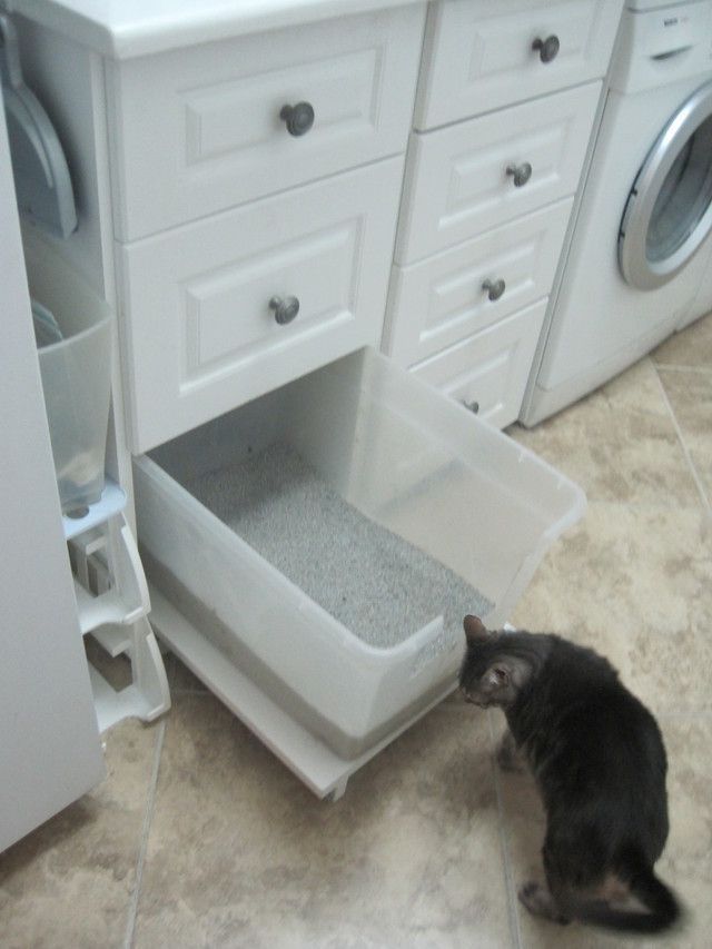 Cat Litter Box Organization | Room Storage Diy, Laundry Room, Laundry ... regarding Your Cat's Guide to a Cozy Laundry Space