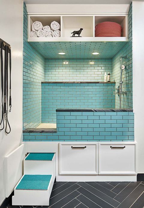 Dog Wash Station In Laundry Room At Zane Bussell Blog with regard to From Chore to Charm How to Design a Laundry Room That Caters to Your Canine Companion