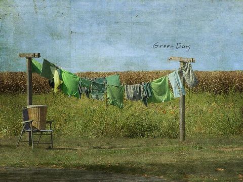 Green Day | Laundry Art, Green Day, Vintage Laundry with Room Of The Day: A Laundry So Cheery, Wash Day Is Wonderful