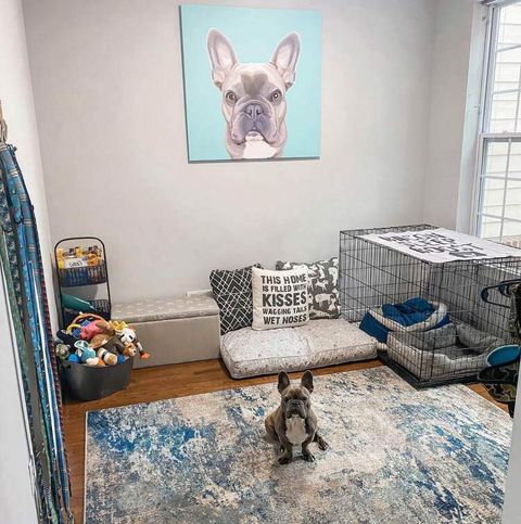 How To Turn A Bedroom Into A Dog Room At Ray Ratliff Blog inside Expert Tips for Maximizing Laundry Room Efficiency