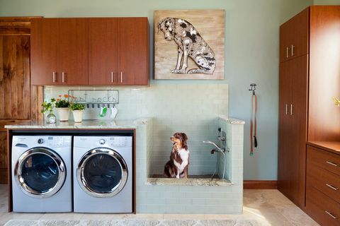 It’s A Dog’s World In These Hardworking Laundry Rooms pertaining to Creating the Perfect Laundry Sanctuary for Dog Lovers