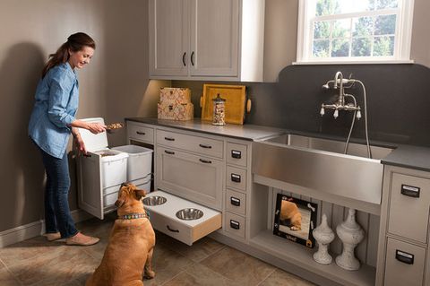 It’s A Dog’s World In These Hardworking Laundry Rooms within It’s a Dog’s World in These Hardworking Laundry Rooms