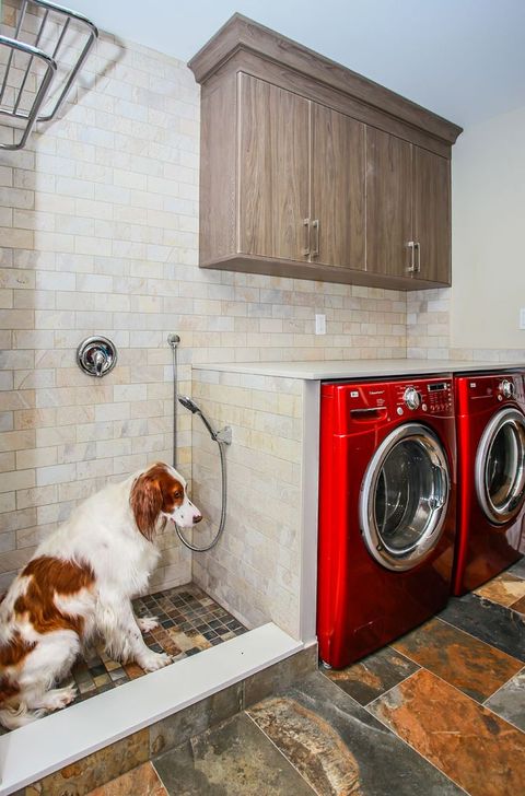 Laundry Room With Dog Shower - Total Living Concepts Barrie Ontario ... with regard to A Laundry Room With Bunk Beds And A Shower For Muddy Dogs