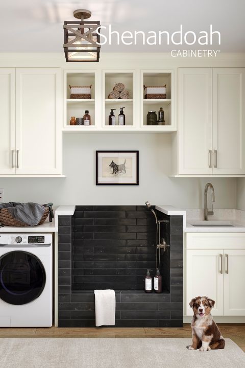 National Pet Day | Laundry Room Renovation, Laundry Room Remodel ... for Expert Tips for Maximizing Laundry Room Efficiency