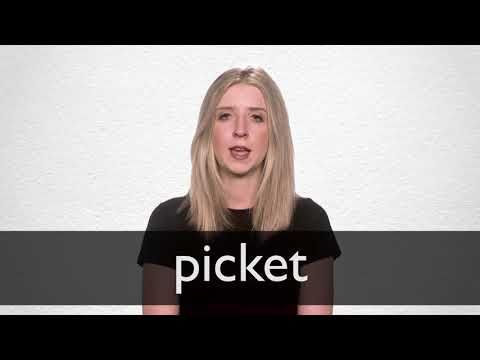 Picket Definition And Meaning | Collins English Dictionary in Picket House Furnishings Brooks 9-Drawer Dresser With Mirror In Grey