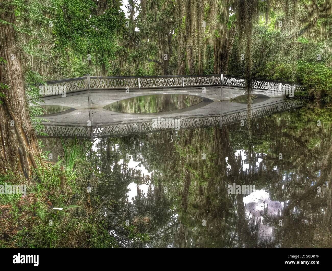 How Plantation Bay Bridge Transforms Local Transportation