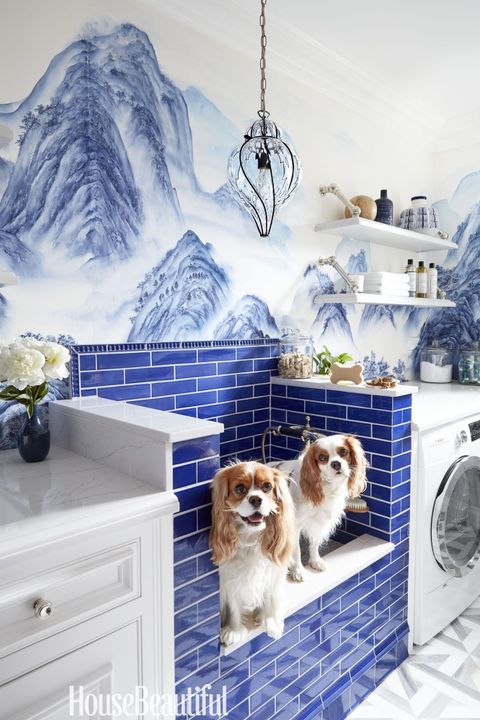 This Laundry Room's Dog Shower Is The Pampering Your Pooch Needs ... regarding Expert Tips for Maximizing Laundry Room Efficiency