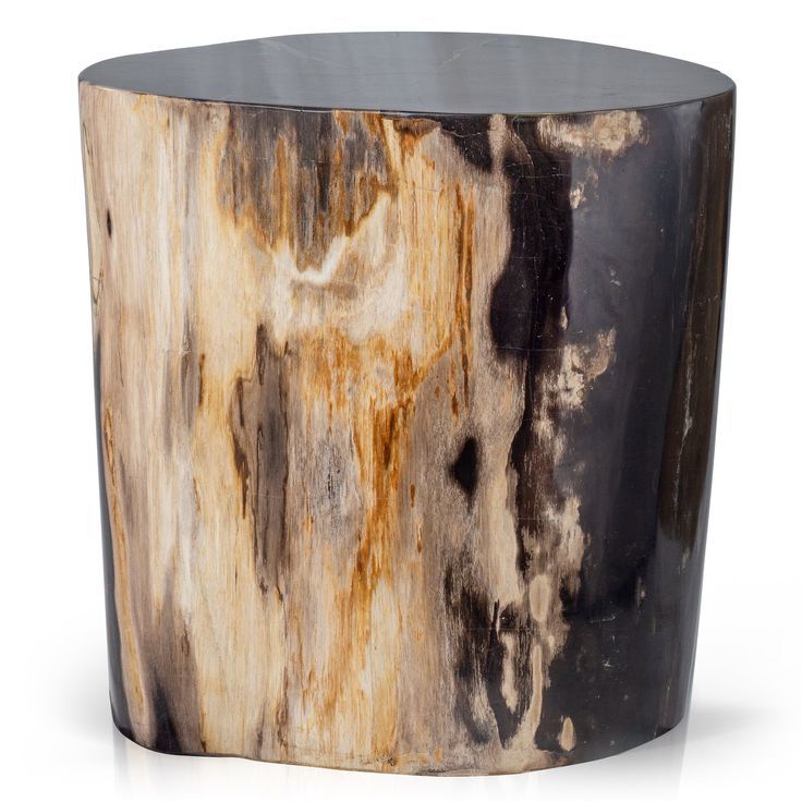 Petrified Wood End Table With Polished Finish Made Of Fossilized ... with regard to Elegant Minimalist Natural Petrified Wood Accent Table Stone Slab Black Tripod